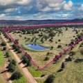 1373 Wave Hill Road, TARRIARO, NSW 2390 AUS