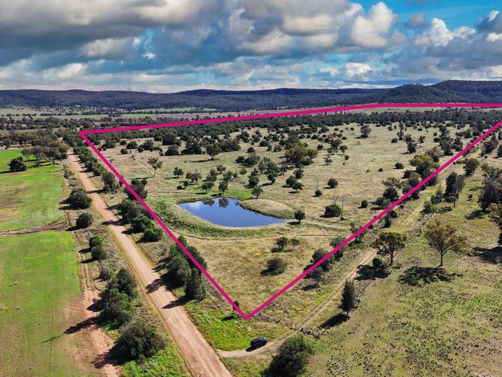 1373 Wave Hill Road, TARRIARO, NSW 2390 AUS