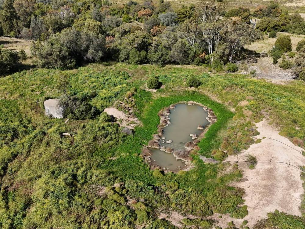 1373 Wave Hill Road, TARRIARO, NSW 2390 AUS