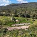 1373 Wave Hill Road, TARRIARO, NSW 2390 AUS
