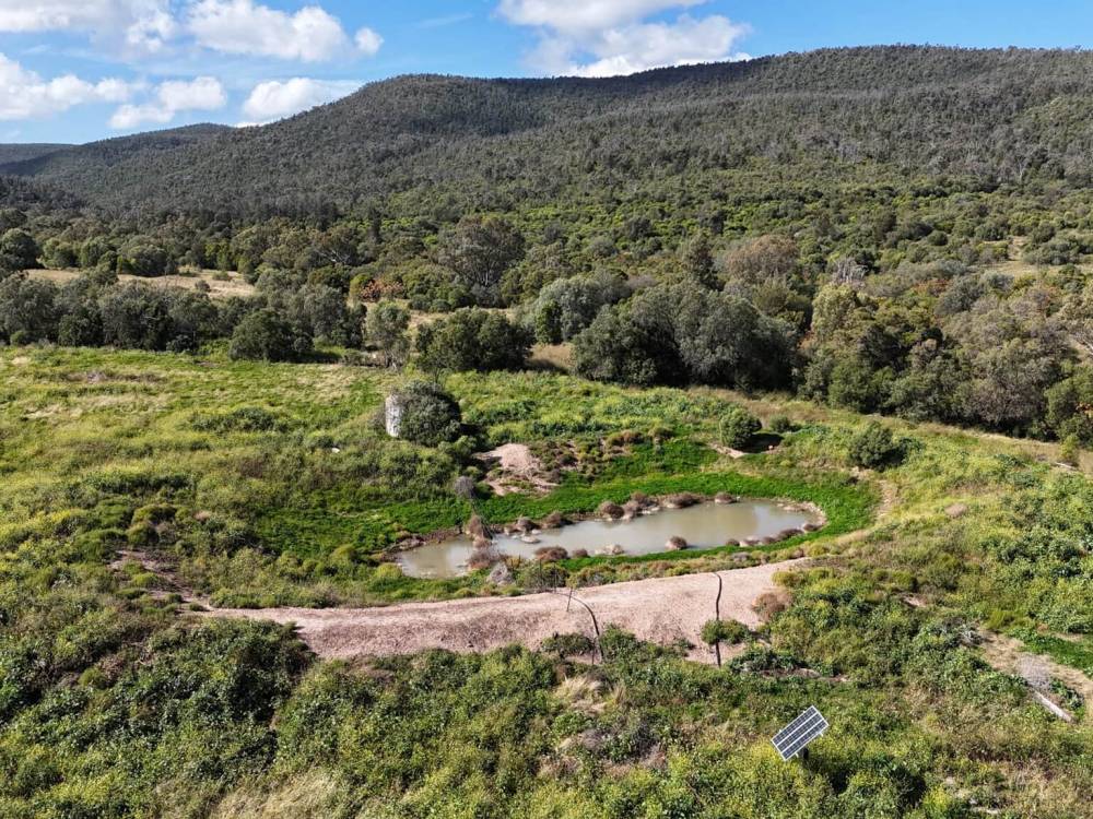 1373 Wave Hill Road, TARRIARO, NSW 2390 AUS