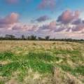 1373 Wave Hill Road, TARRIARO, NSW 2390 AUS