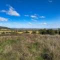 1373 Wave Hill Road, TARRIARO, NSW 2390 AUS