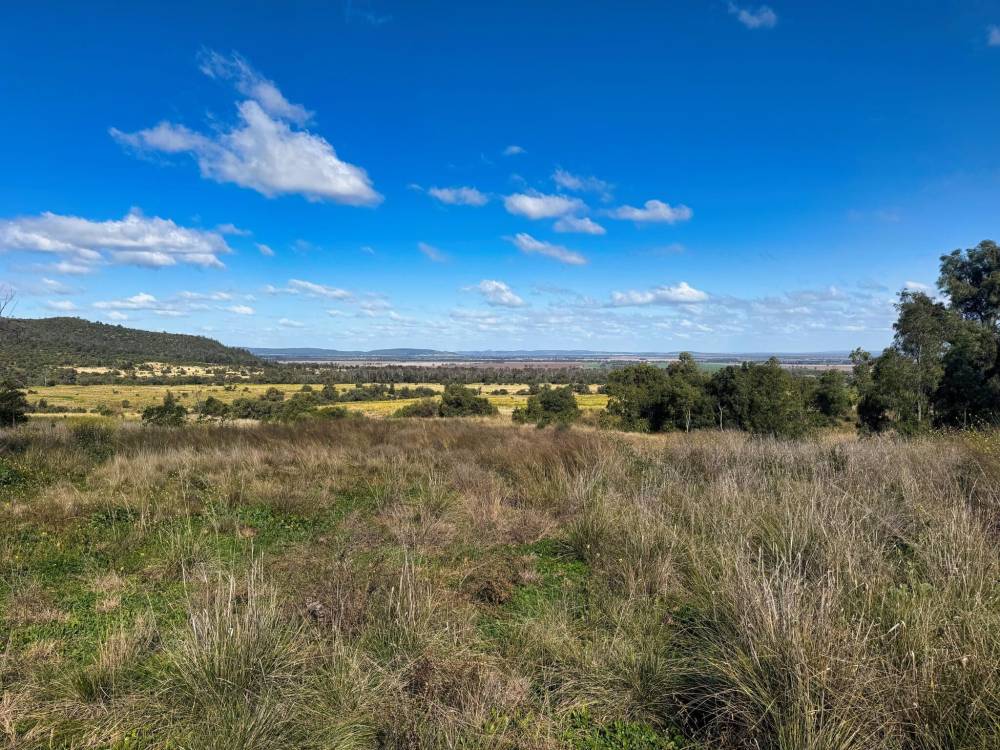1373 Wave Hill Road, TARRIARO, NSW 2390 AUS