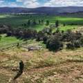 1373 Wave Hill Road, TARRIARO, NSW 2390 AUS