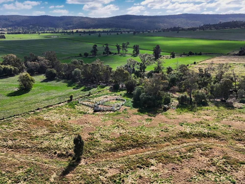 1373 Wave Hill Road, TARRIARO, NSW 2390 AUS