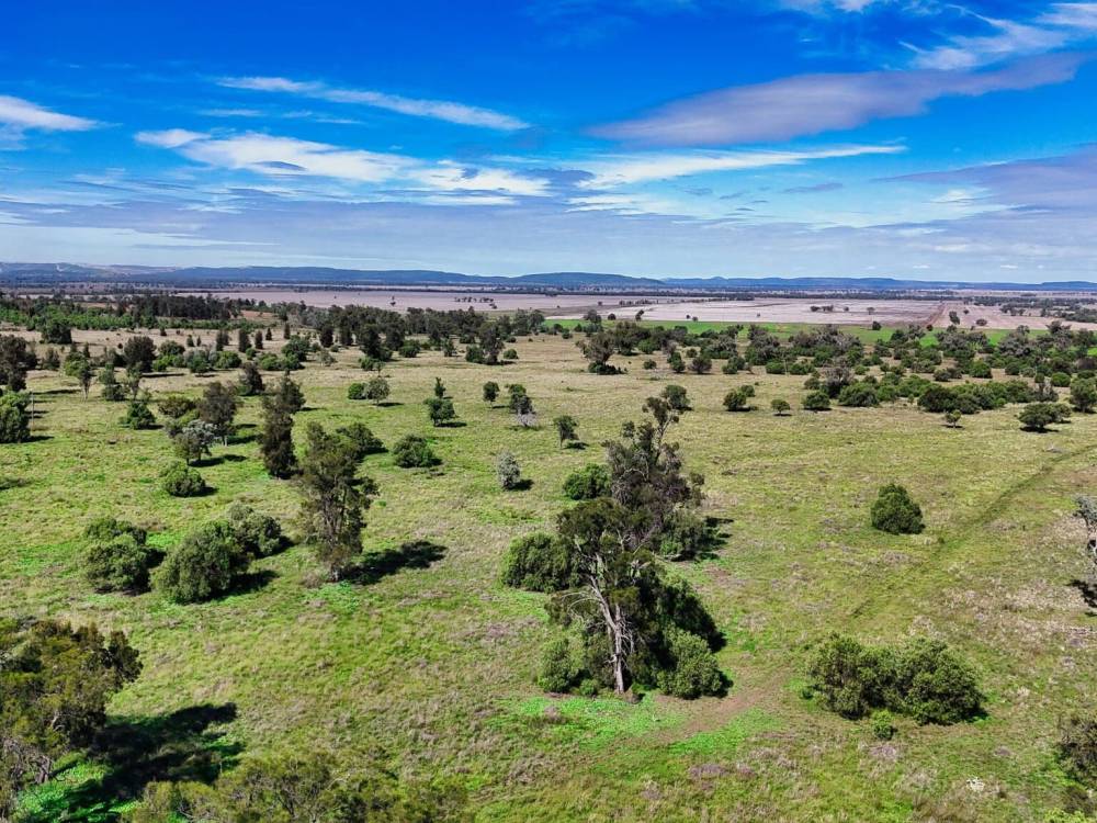 1373 Wave Hill Road, TARRIARO, NSW 2390 AUS