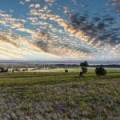 1373 Wave Hill Road, TARRIARO, NSW 2390 AUS