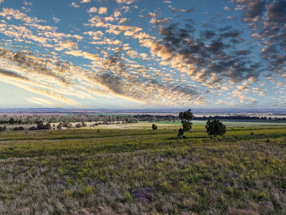 1373 Wave Hill Road, TARRIARO, NSW 2390 AUS