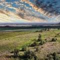 1373 Wave Hill Road, TARRIARO, NSW 2390 AUS
