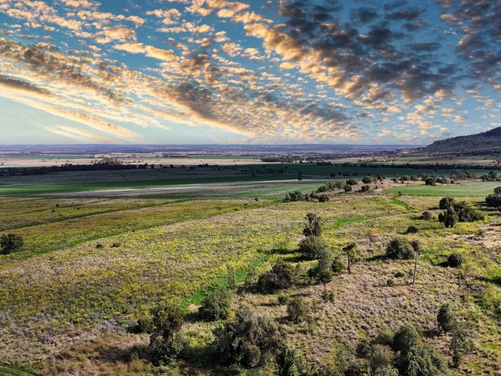 1373 Wave Hill Road, TARRIARO, NSW 2390 AUS