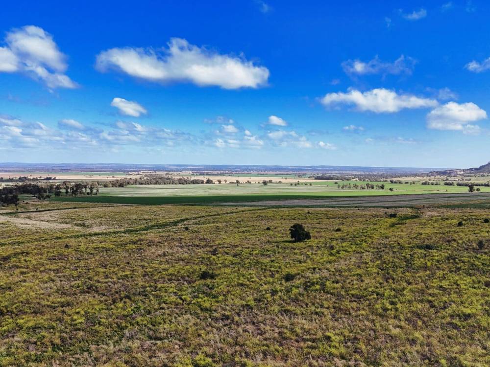 1373 Wave Hill Road, TARRIARO, NSW 2390 AUS