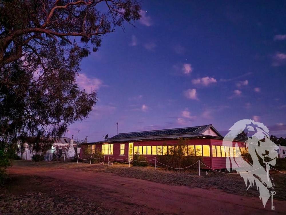 43 Dangar Street, PILLIGA, NSW 2388 AUS