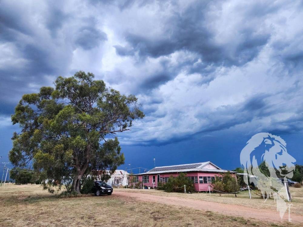 43 Dangar Street, PILLIGA, NSW 2388 AUS