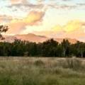 2083 Kaputar Road, BULLAWA CREEK, NSW 2390 AUS