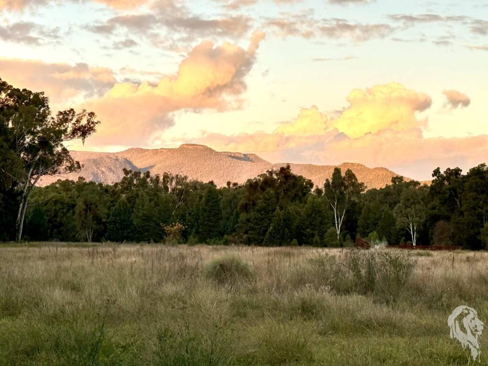 2083 Kaputar Road, BULLAWA CREEK, NSW 2390 AUS