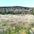 2083 Kaputar Road, BULLAWA CREEK, NSW 2390 AUS