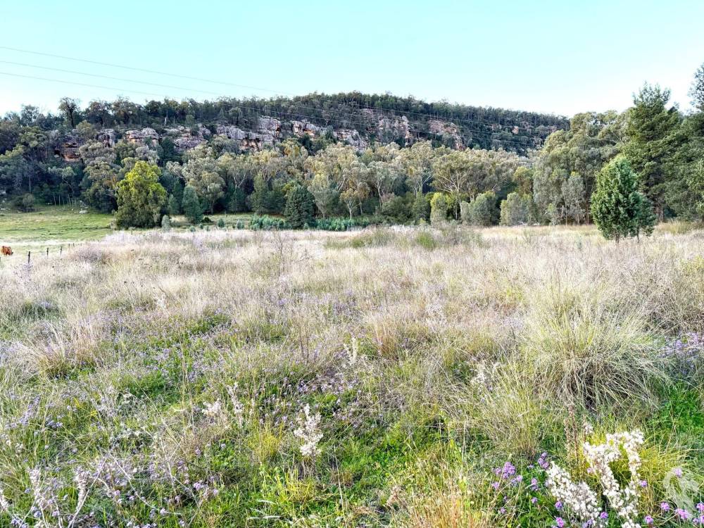 2083 Kaputar Road, BULLAWA CREEK, NSW 2390 AUS