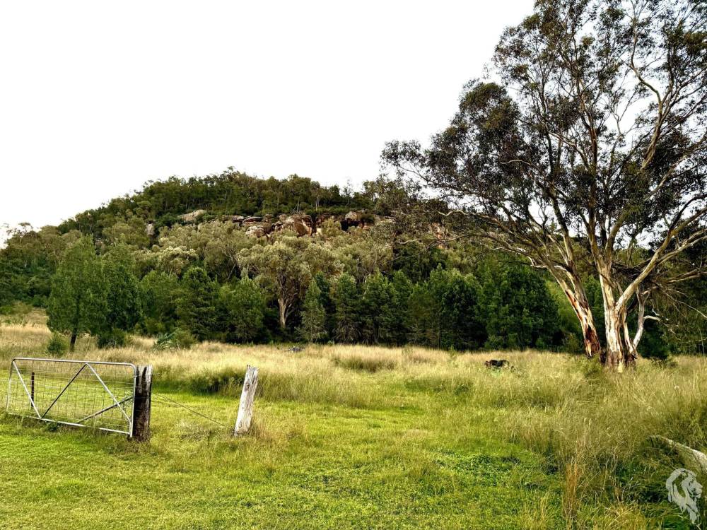2083 Kaputar Road, BULLAWA CREEK, NSW 2390 AUS