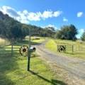 2083 Kaputar Road, BULLAWA CREEK, NSW 2390 AUS