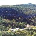 2083 Kaputar Road, BULLAWA CREEK, NSW 2390 AUS