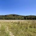 1038 Upper Maules Creek Road, MAULES CREEK, NSW 2382 AUS