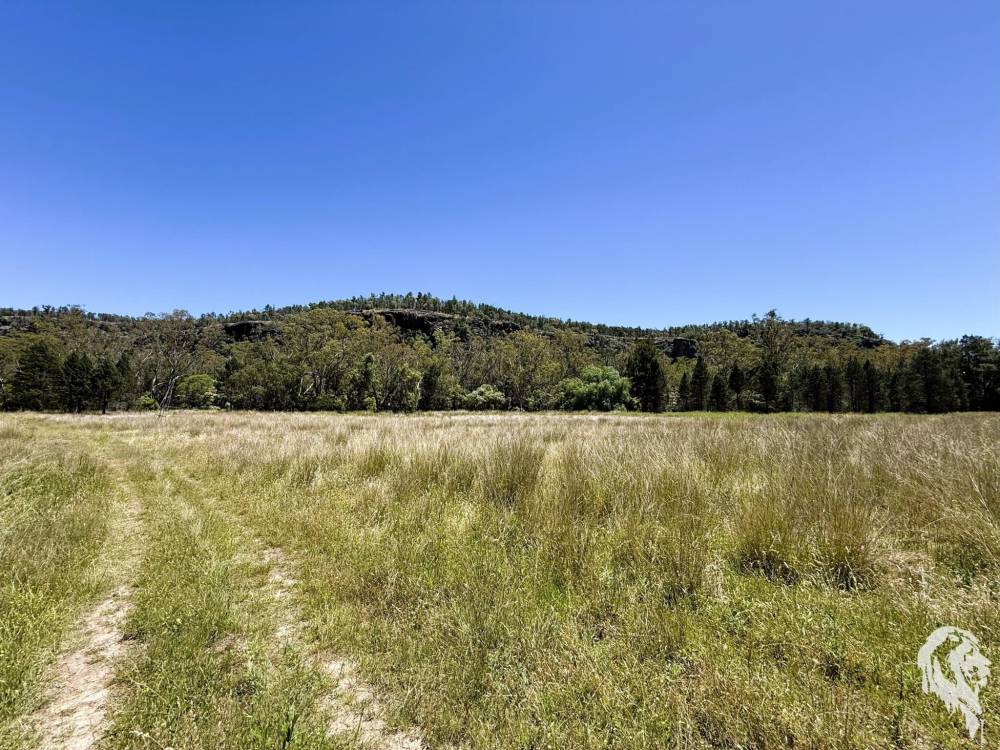 1038 Upper Maules Creek Road, MAULES CREEK, NSW 2382 AUS