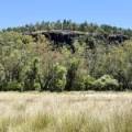 1038 Upper Maules Creek Road, MAULES CREEK, NSW 2382 AUS