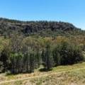 1038 Upper Maules Creek Road, MAULES CREEK, NSW 2382 AUS