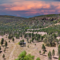 1038 Upper Maules Creek Road, MAULES CREEK, NSW 2382 AUS