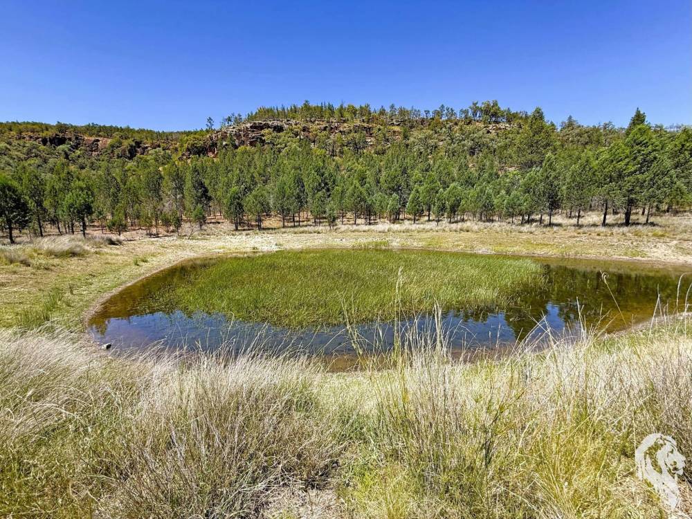 1038 Upper Maules Creek Road, MAULES CREEK, NSW 2382 AUS