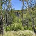1038 Upper Maules Creek Road, MAULES CREEK, NSW 2382 AUS
