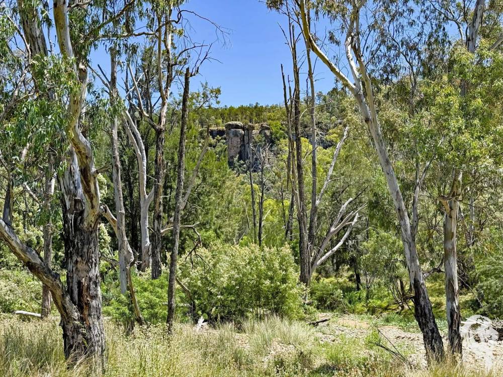 1038 Upper Maules Creek Road, MAULES CREEK, NSW 2382 AUS