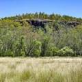 1038 Upper Maules Creek Road, MAULES CREEK, NSW 2382 AUS