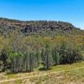 1038 Upper Maules Creek Road, MAULES CREEK, NSW 2382 AUS