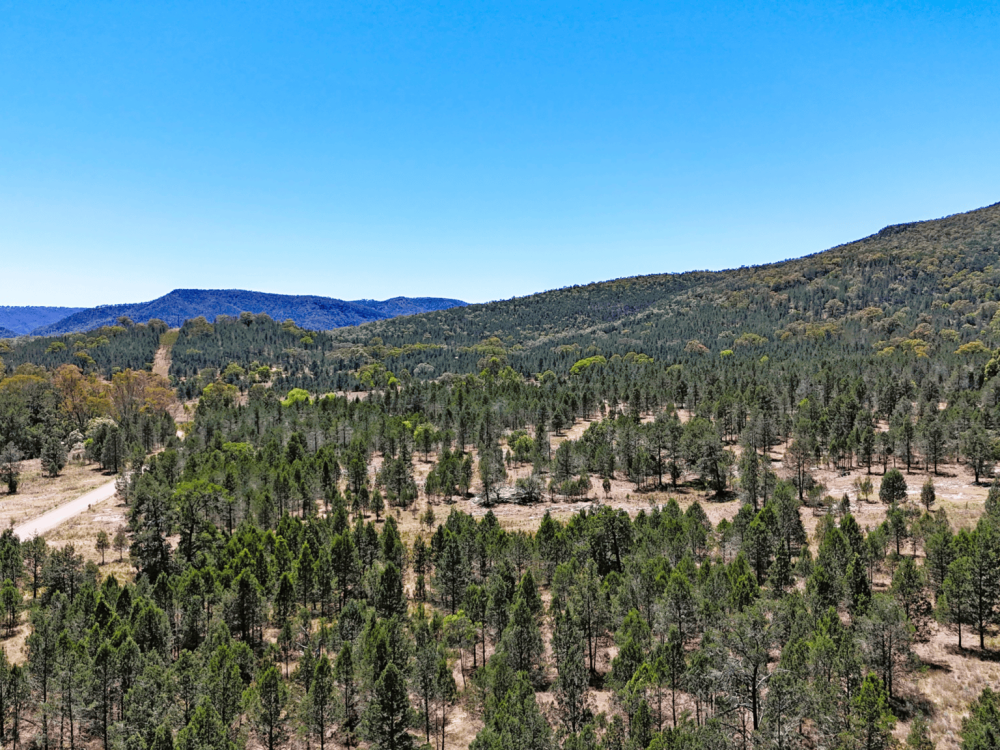 1038 Upper Maules Creek Road, MAULES CREEK, NSW 2382 AUS