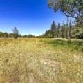 1038 Upper Maules Creek Road, MAULES CREEK, NSW 2382 AUS
