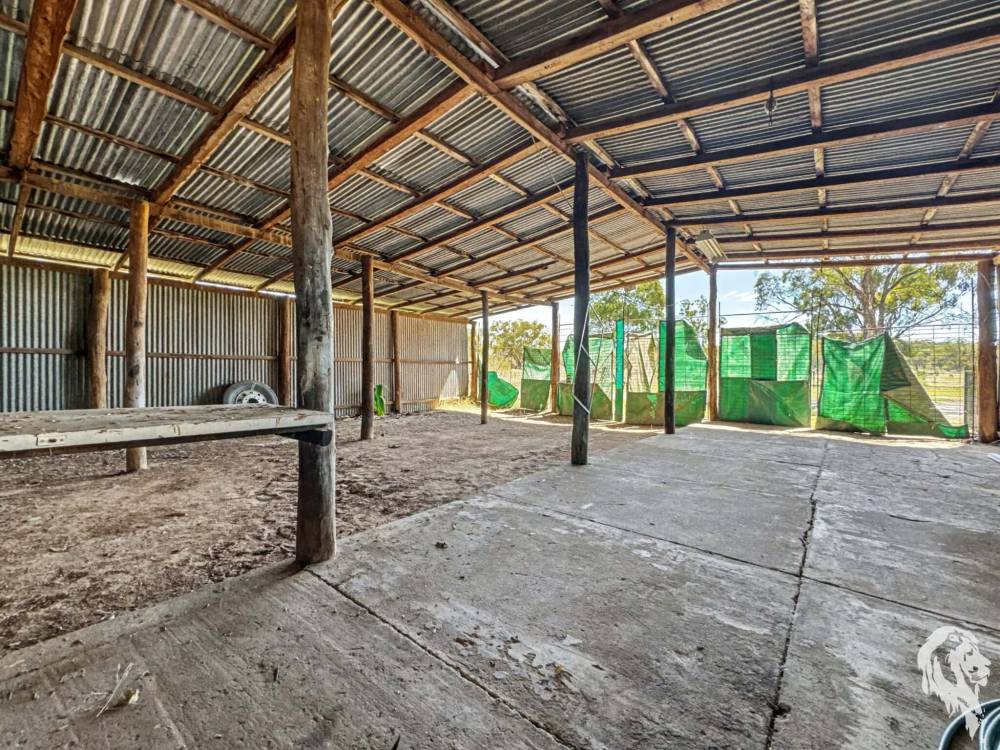 7 Garwi Street, BAAN BAA, NSW 2390 AUS