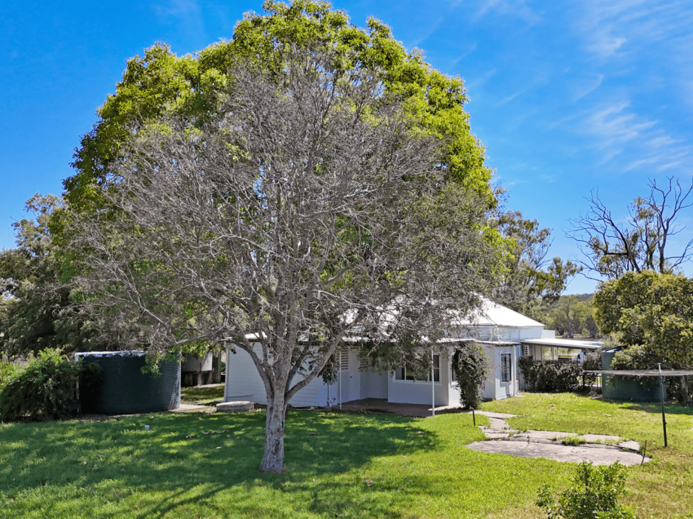 7 Garwi Street, BAAN BAA, NSW 2390 AUS