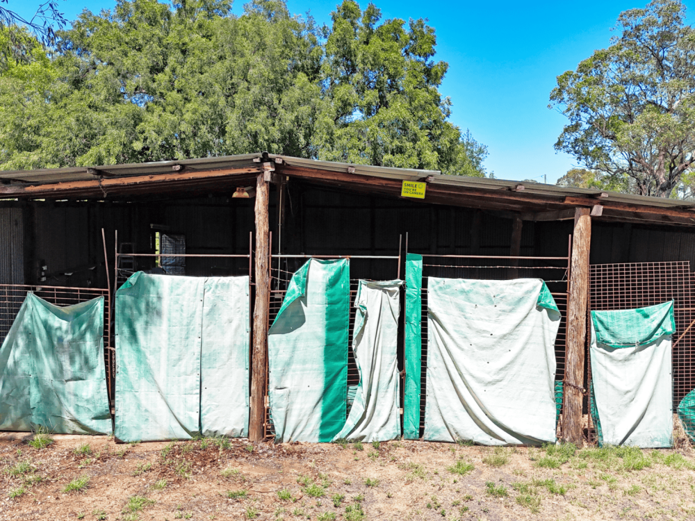 7 Garwi Street, BAAN BAA, NSW 2390 AUS