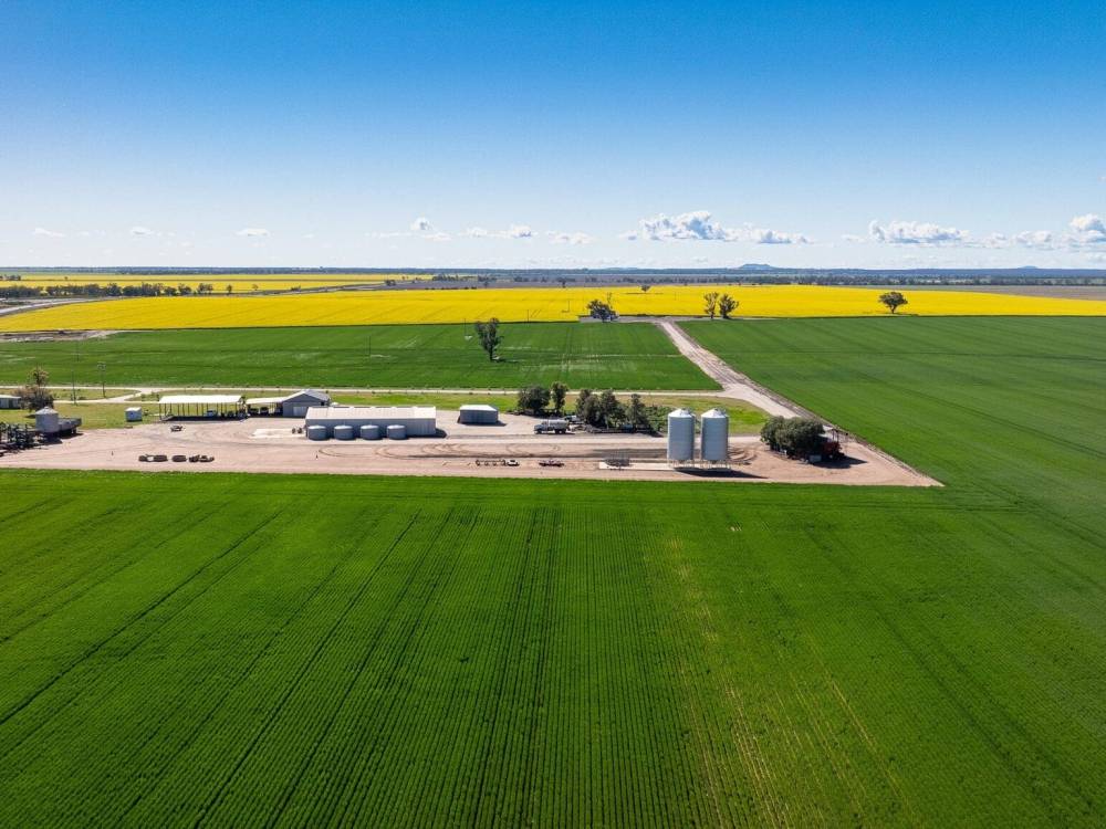 13012 Newell Highway, NARRABRI, NSW 2390 AUS