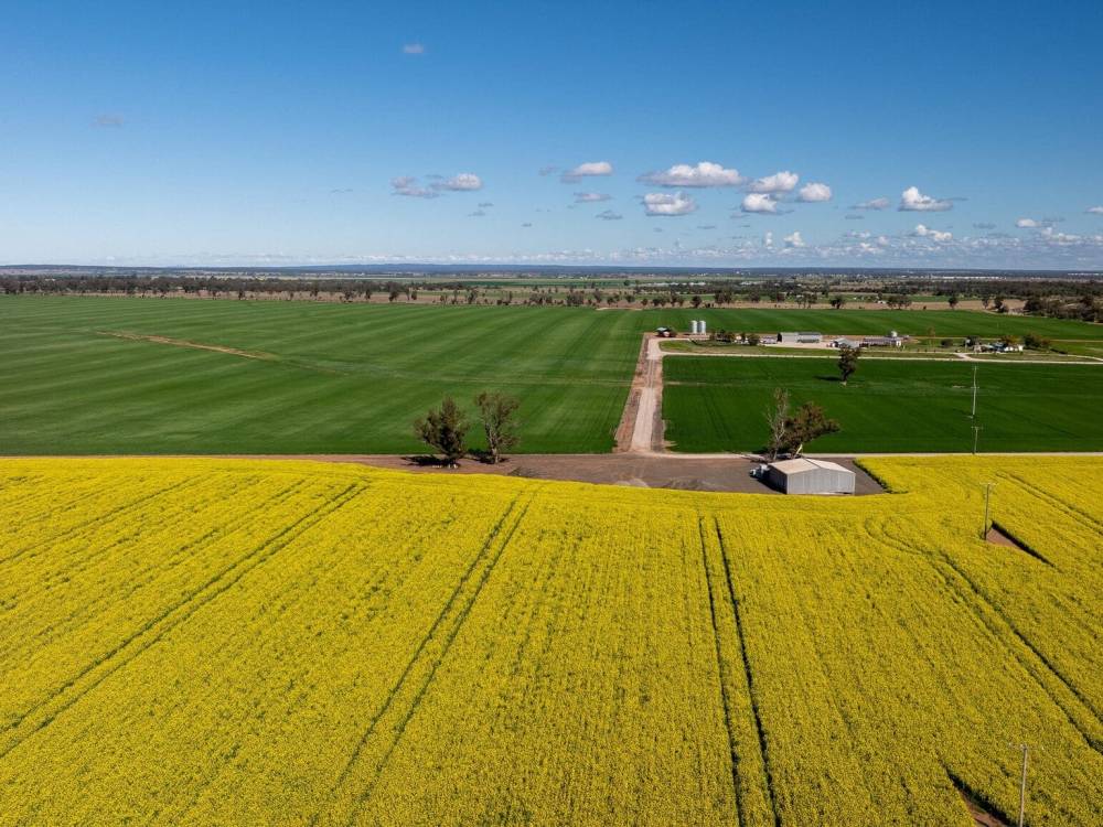 13012 Newell Highway, NARRABRI, NSW 2390 AUS