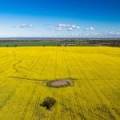 13012 Newell Highway, NARRABRI, NSW 2390 AUS