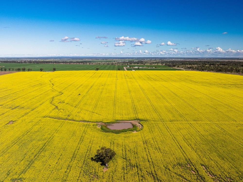 13012 Newell Highway, NARRABRI, NSW 2390 AUS