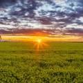 13012 Newell Highway, NARRABRI, NSW 2390 AUS