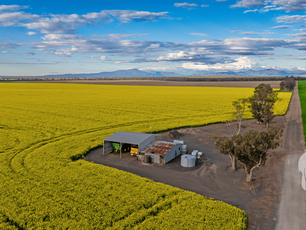 13012 Newell Highway, NARRABRI, NSW 2390 AUS