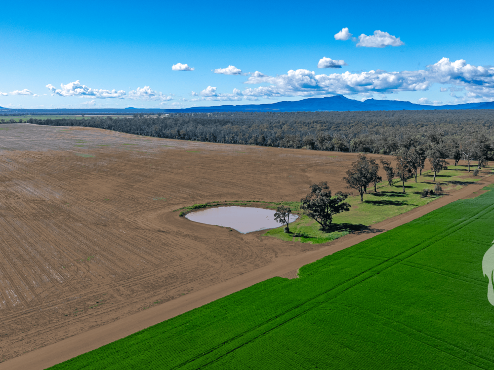 13012 Newell Highway, NARRABRI, NSW 2390 AUS