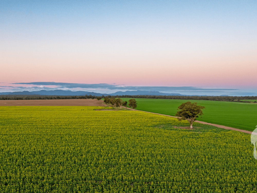 13012 Newell Highway, NARRABRI, NSW 2390 AUS