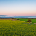 13012 Newell Highway, NARRABRI, NSW 2390 AUS