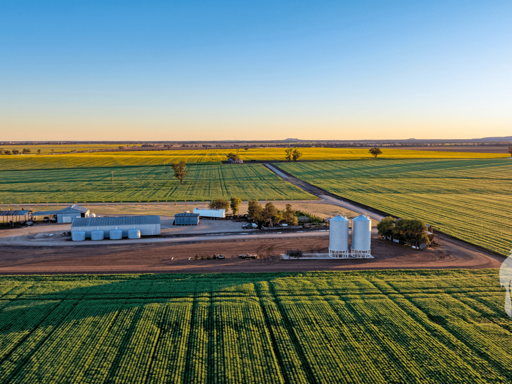13012 Newell Highway, NARRABRI, NSW 2390 AUS